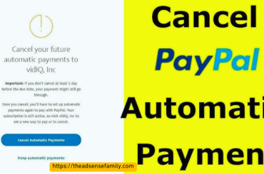 Cancel PayPal automatic payment