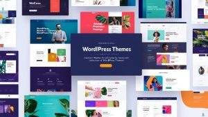 WordPress Themes